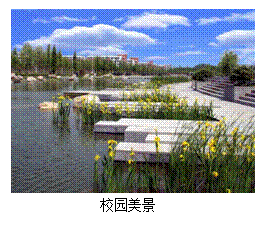 文本框:  校园美景